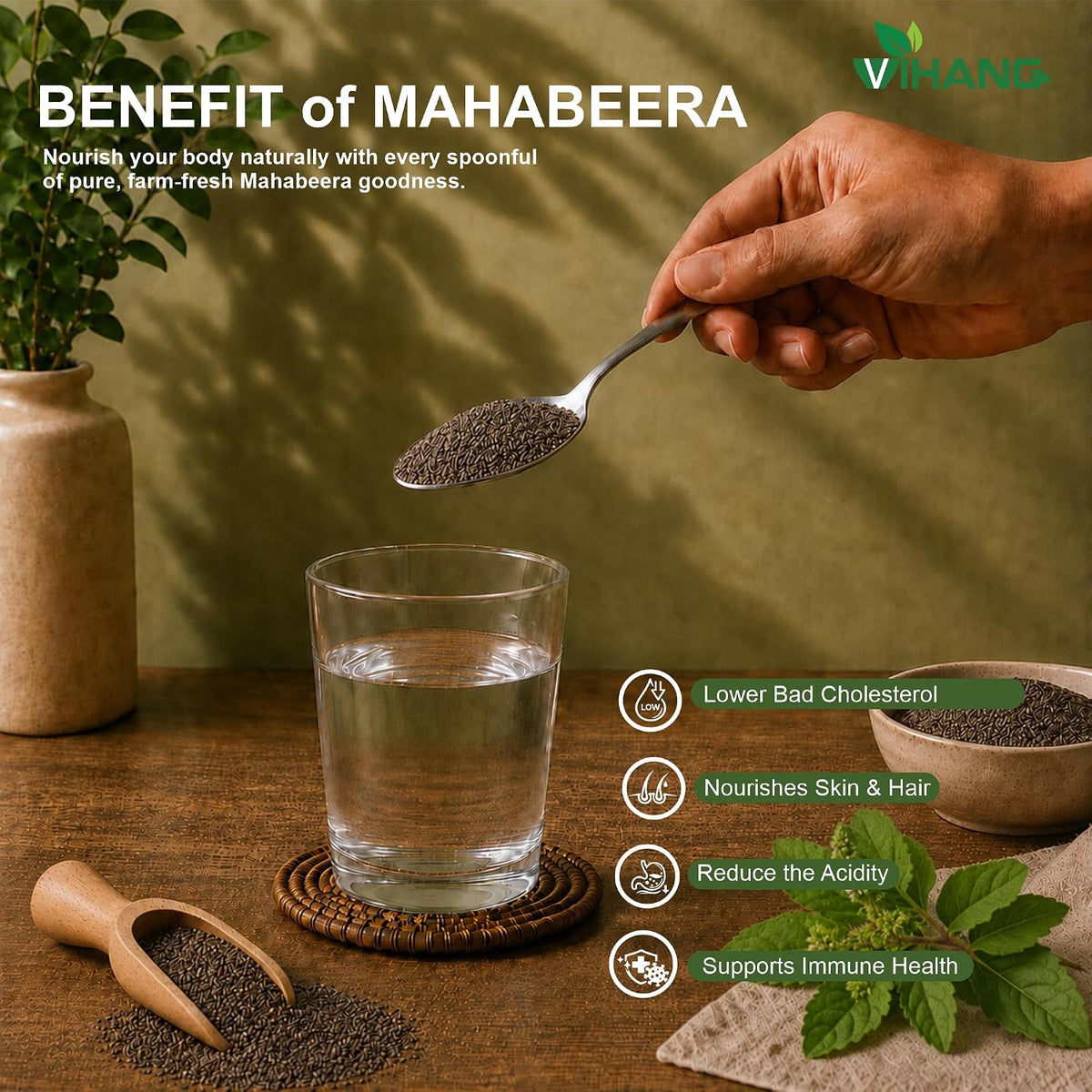 Mahabeera Seeds  Ocimum Gratissimum  Vana Tulsi Beej Joint Support