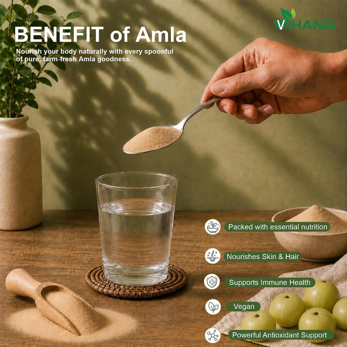 Amla Powder | Indian Gooseberry (Phyllanthus Emblica) Powder | Rich in Vitamin C & Antioxidants | Supports Skin, Hair & Immune Health | Daily Wellness & Nutrition