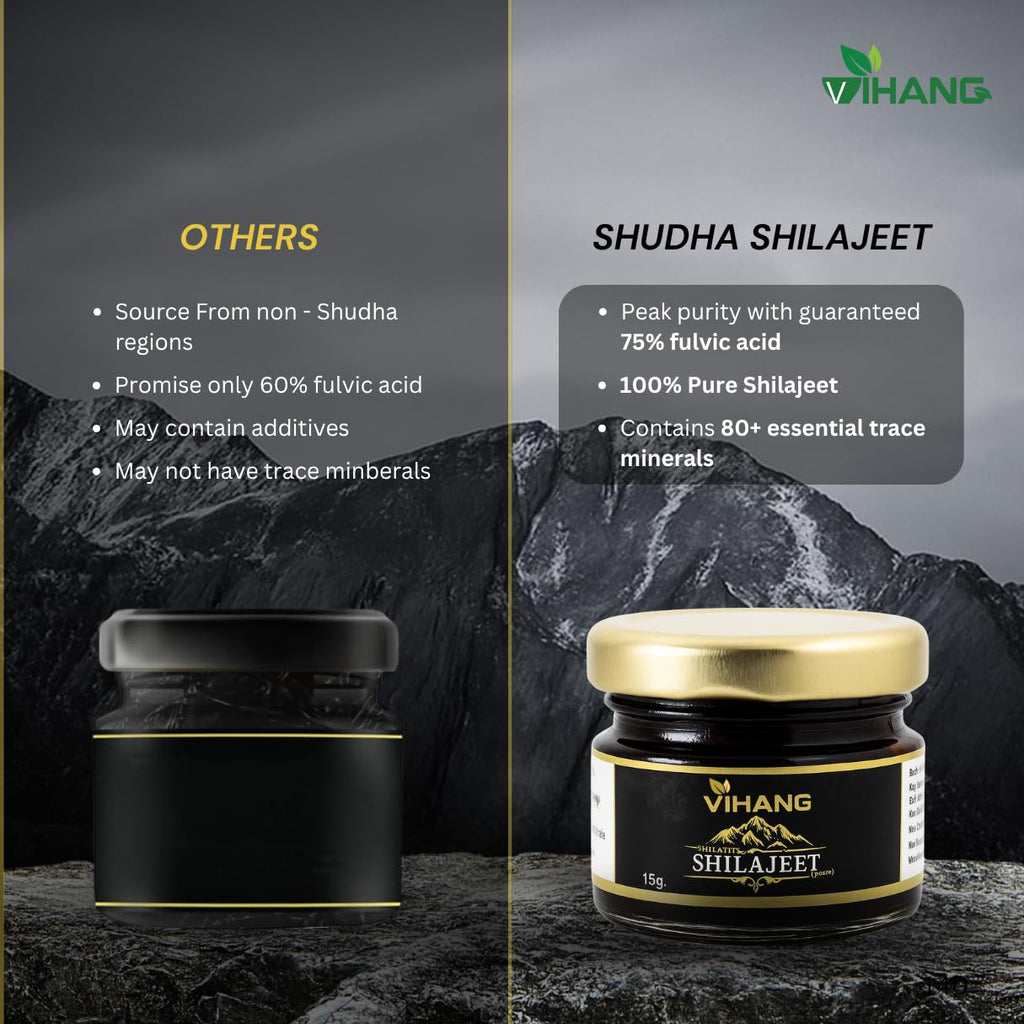 Vihang Pure Himalayan Shilajit Resin 15g | Fulvic Acid & Trace Minerals | Energy, Stamina & Strength Support | Pack of 1